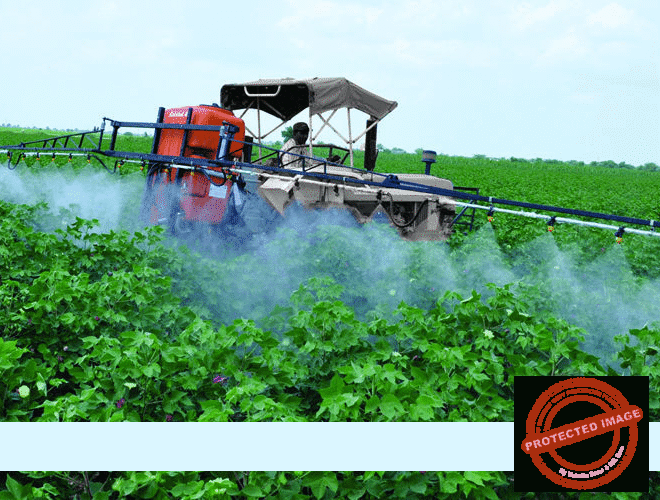 Teknologi Industri Pertanian: Prospek & Karier