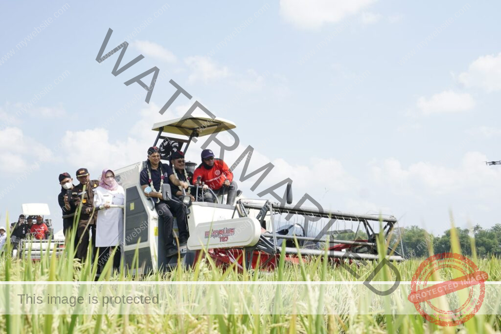Teknologi Tepat Guna